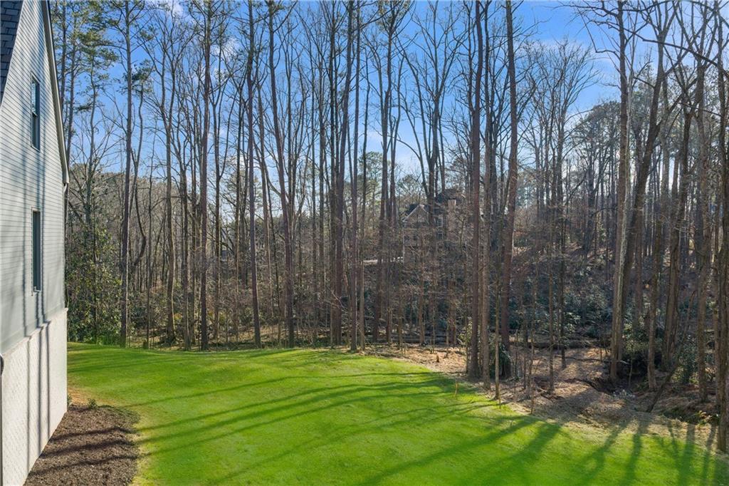 15560 Freemanville Road Milton, GA 30004 - Photo 72 of 97