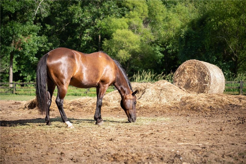 15560 Freemanville Road Milton, GA 30004 - Photo 89 of 97