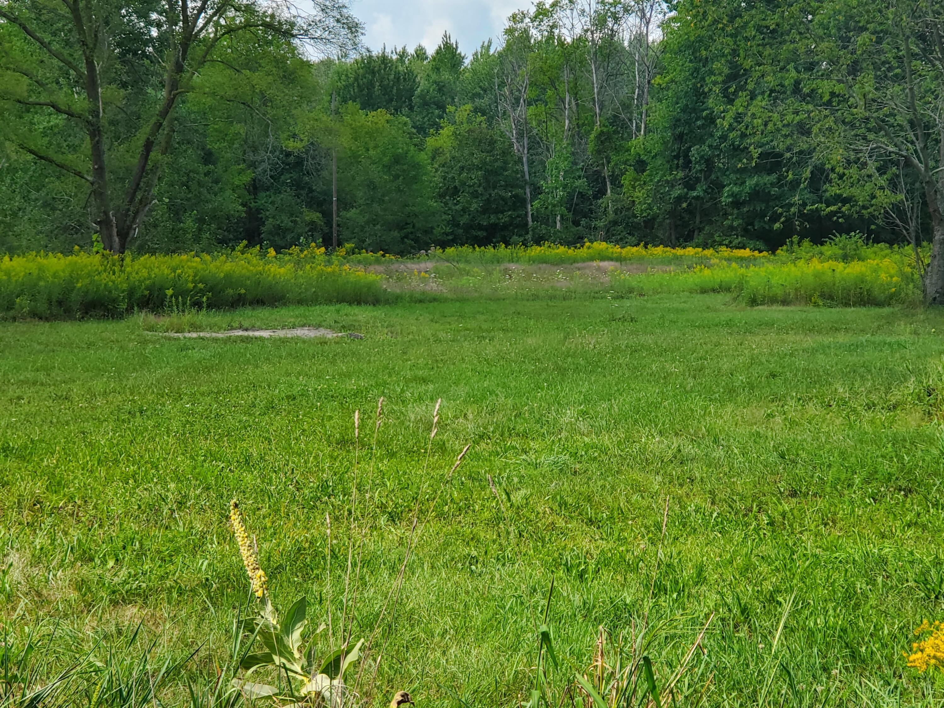 11638 East White Road Ravenna, MI 49451 - Photo 5 of 8 20210827_153002(1)
