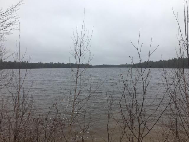 226 Morrison Farm Road Mariaville, ME 04605 - Photo 2 of 2 IMG_6157