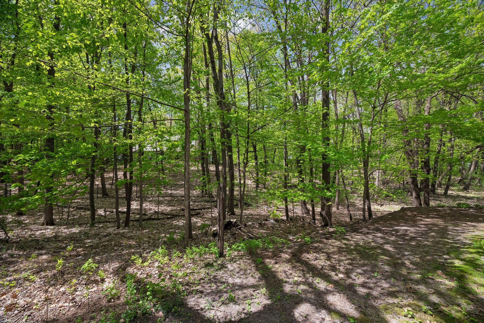 20545 Linden Road Deephaven, MN 55331 - Photo 89 of 94