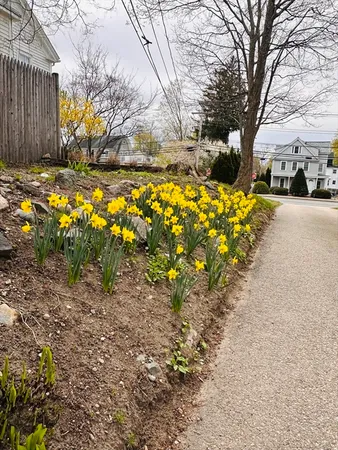$2,750 | 55 West Central Street, Unit 2, Natick, MA 01760