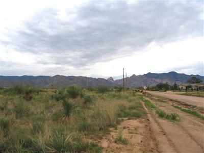 0 West Treasure Road West Pearce, AZ 85625 - Photo 3 of 3