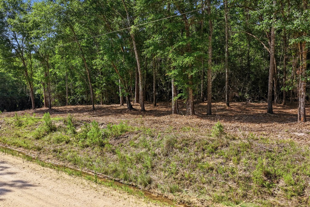 Lot #1 Crosby Clark Road Opp, AL 36467 - Photo 2 of 6