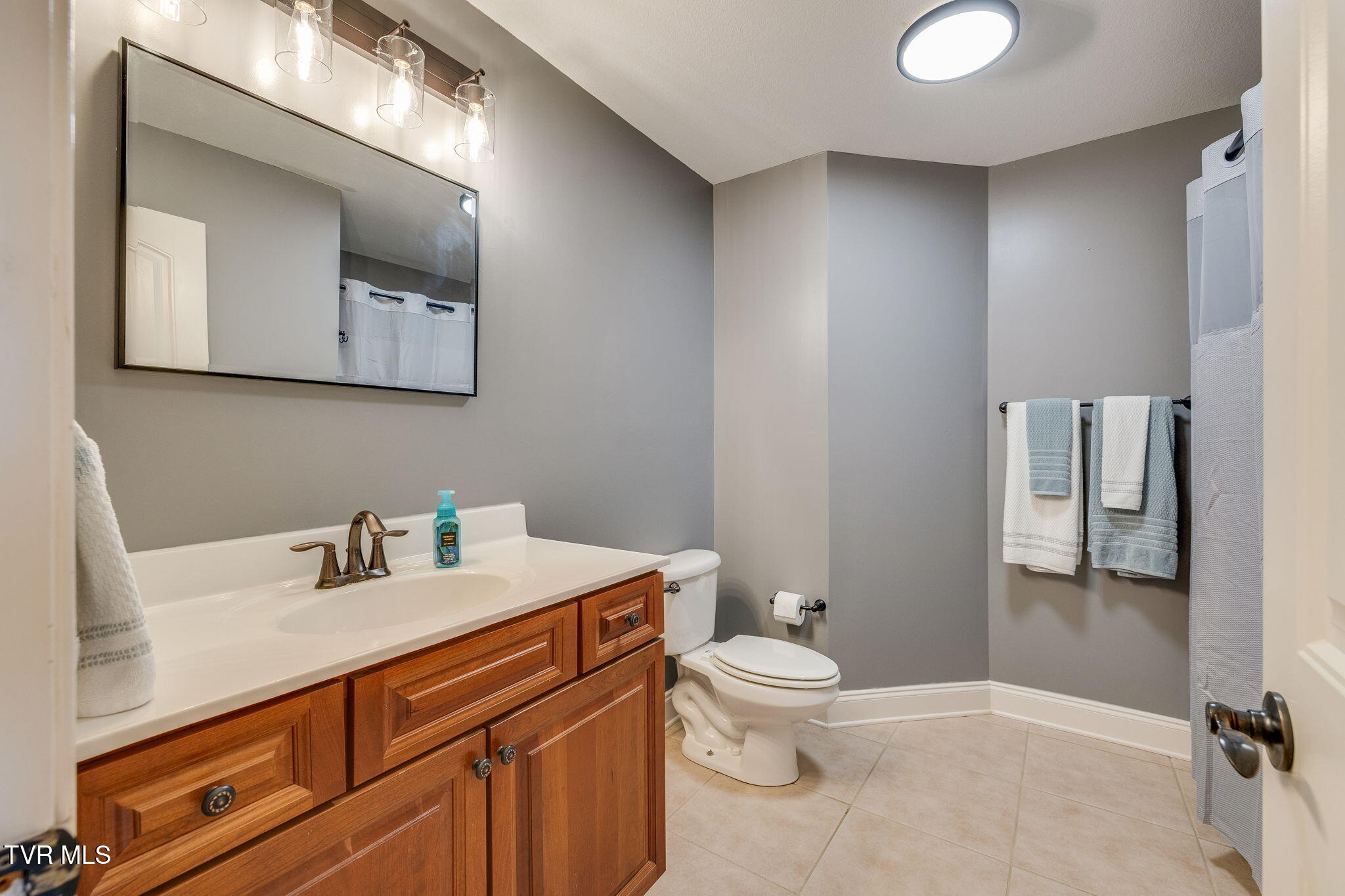 205 Bridgewater Court Gray, TN 37615 - Photo 24 of 36 024