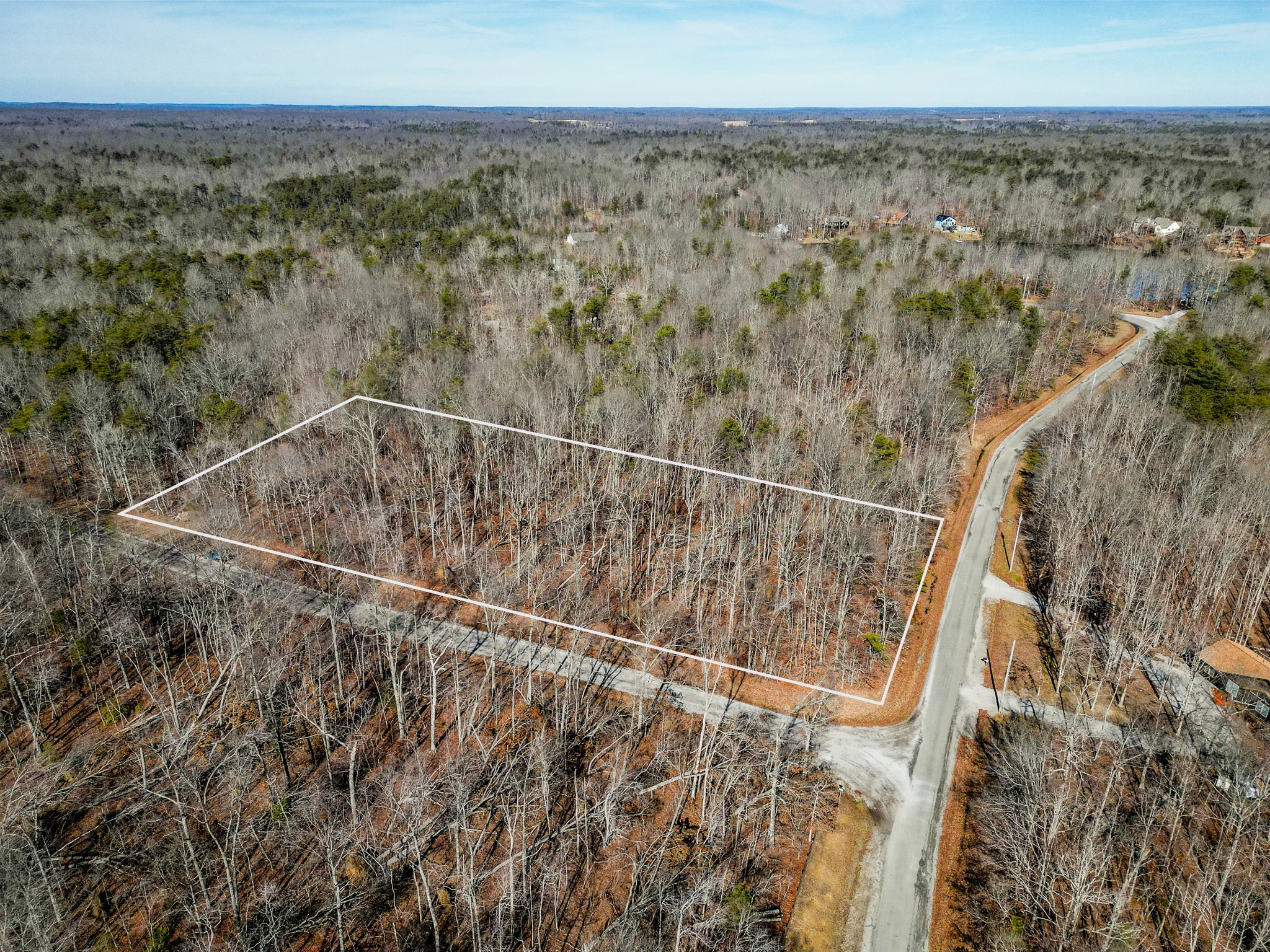 0 Ann Road Monterey, TN 38574 - Photo 1 of 11 a view of a forest