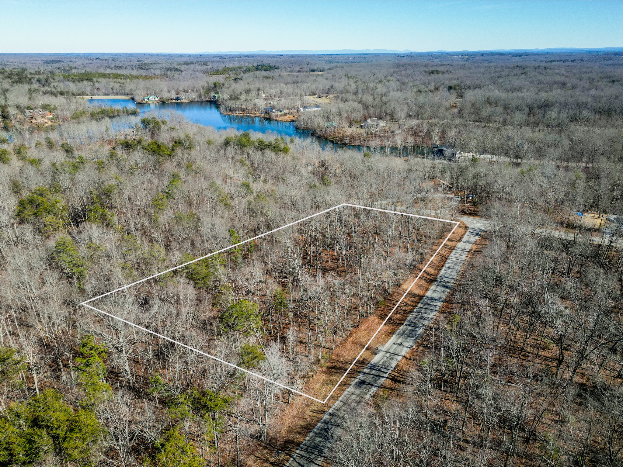 0 Ann Road Monterey, TN 38574 - Photo 2 of 11 a view of a dry yard with large trees