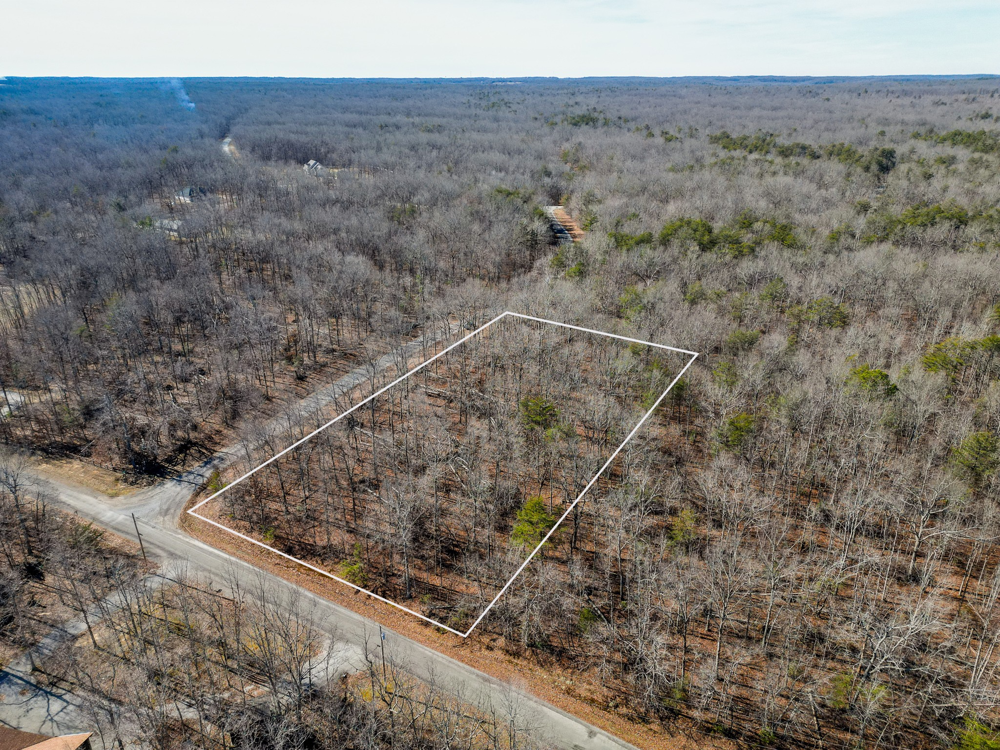 0 Ann Road Monterey, TN 38574 - Photo 3 of 11 a view of a dry yard with wooden stairs