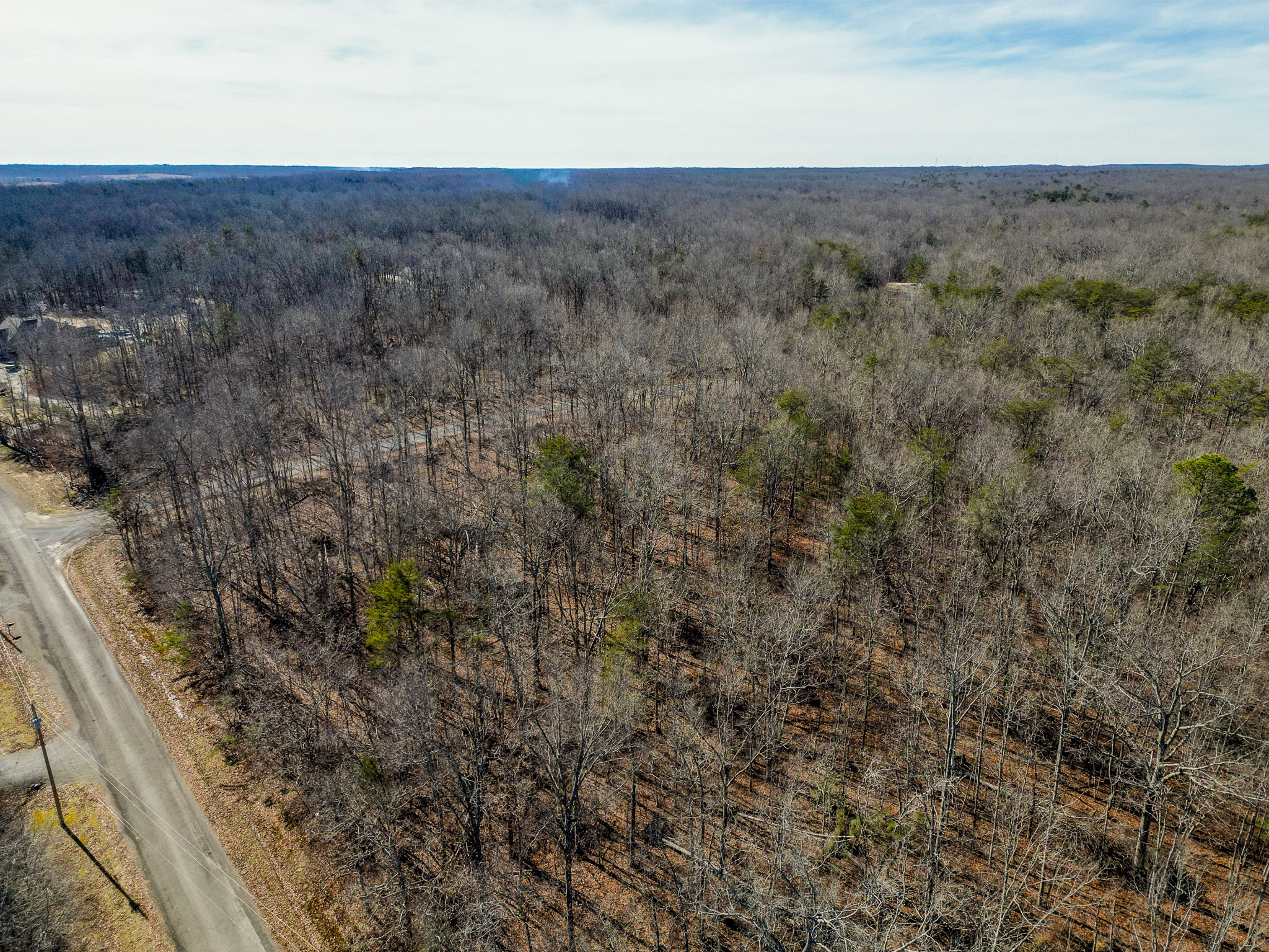 0 Ann Road Monterey, TN 38574 - Photo 4 of 11 a view of a field