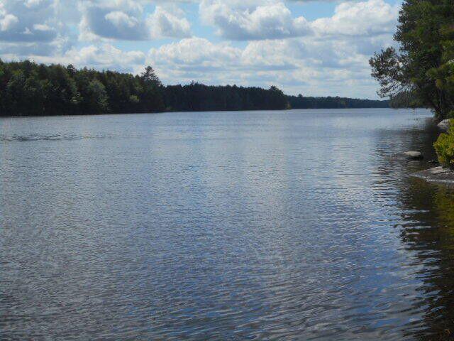 0 Egg Pond Road Lincoln, ME 04457 - Photo 1 of 7 20220616224807023312000000-o