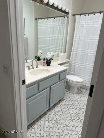 a bathroom with a sink a toilet a mirror a vanity and shower