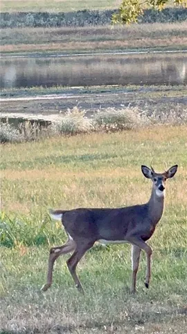 $1,695,000 | 22750 South Moonlight Road, Spring Hill, KS 66083