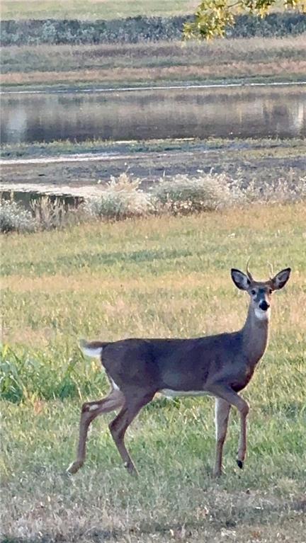 22750 South Moonlight Road Gardner, KS 66030 - Photo 45 of 51