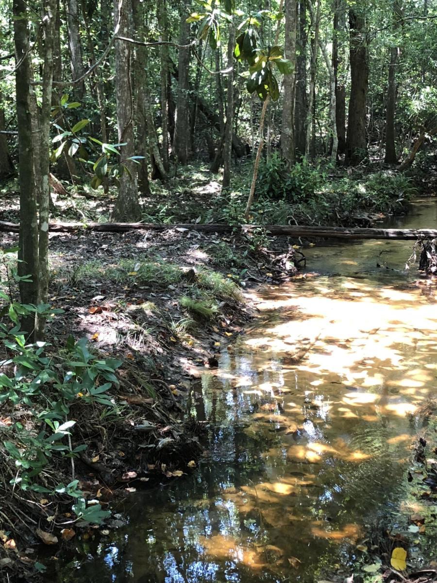 195-acres Garrett Mill Road Baker, FL 32531 - Photo 3 of 5 creek1
