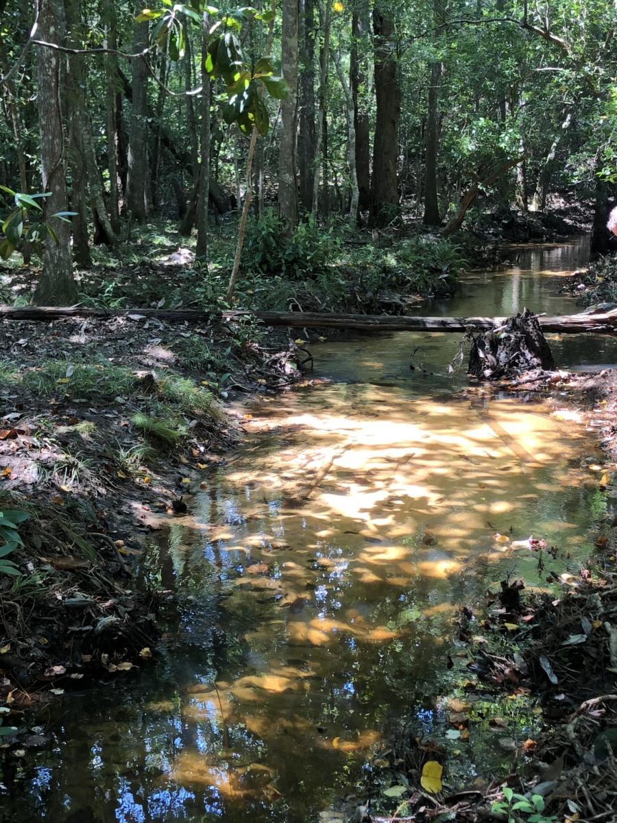 195-acres Garrett Mill Road Baker, FL 32531 - Photo 4 of 5 Creek2