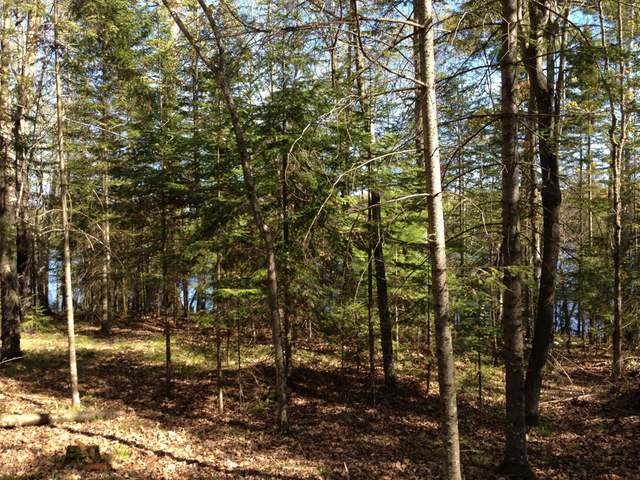 10-11 Dombroski Road Harshaw, WI 54529 - Photo 10 of 17 Gallery Image 10