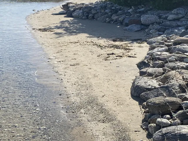 $1,250,000 | 7954 Cedar Street, Beulah, MI 49617