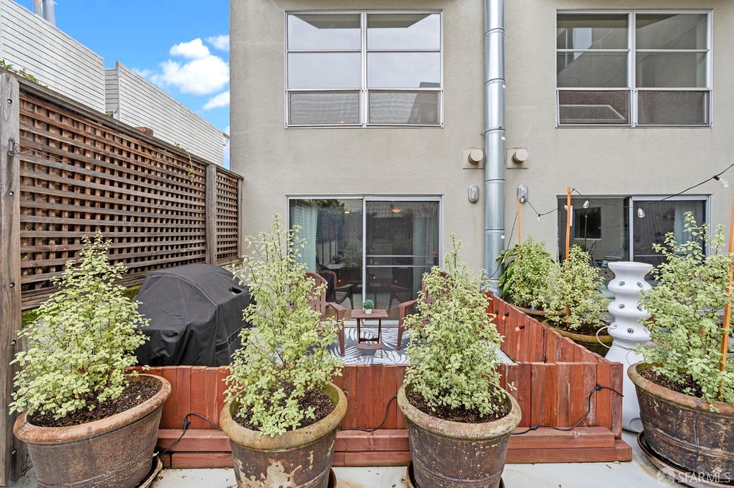 1720 Clay Street, Unit 8 San Francisco, CA 94109 - Photo 24 of 37 a view of a backyard with plants and entertaining space