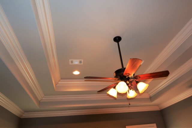 453 Ross Road Waverly Hall, GA 31831 - Photo 25 of 42 Custom trey ceilings in master bedroom