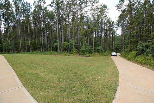 453 Ross Road Waverly Hall, GA 31831 - Photo 42 of 42 Looking down driveway toward Ross Road