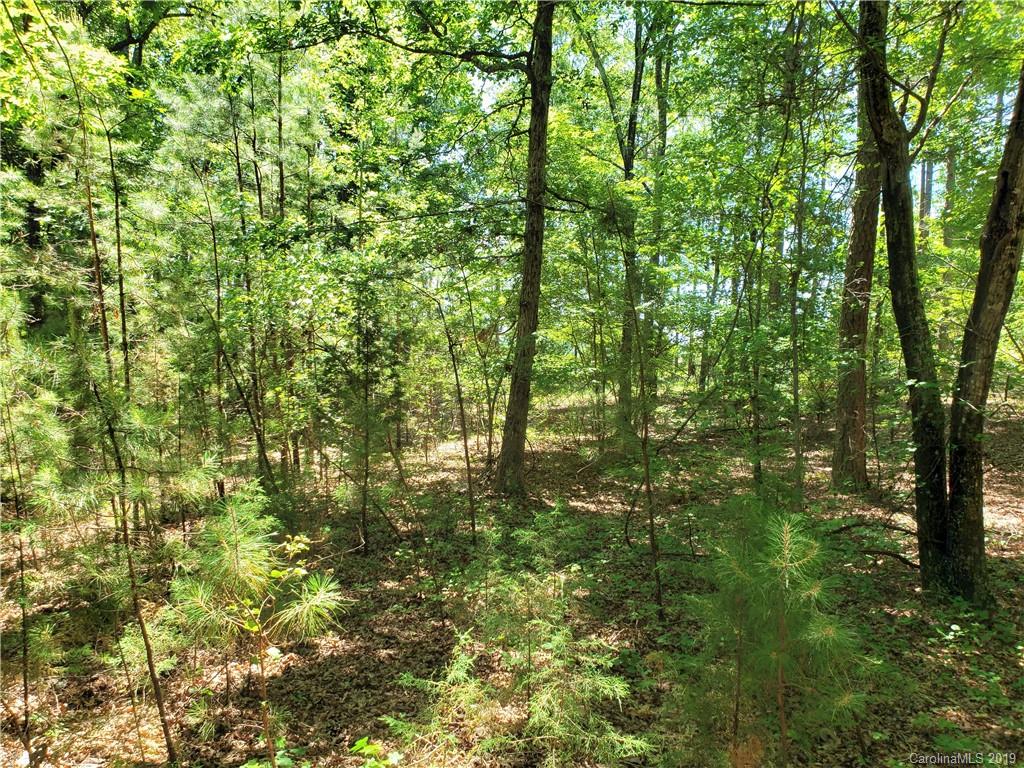 950 A Slick Rock Road Chester, SC 29706 - Photo 11 of 20