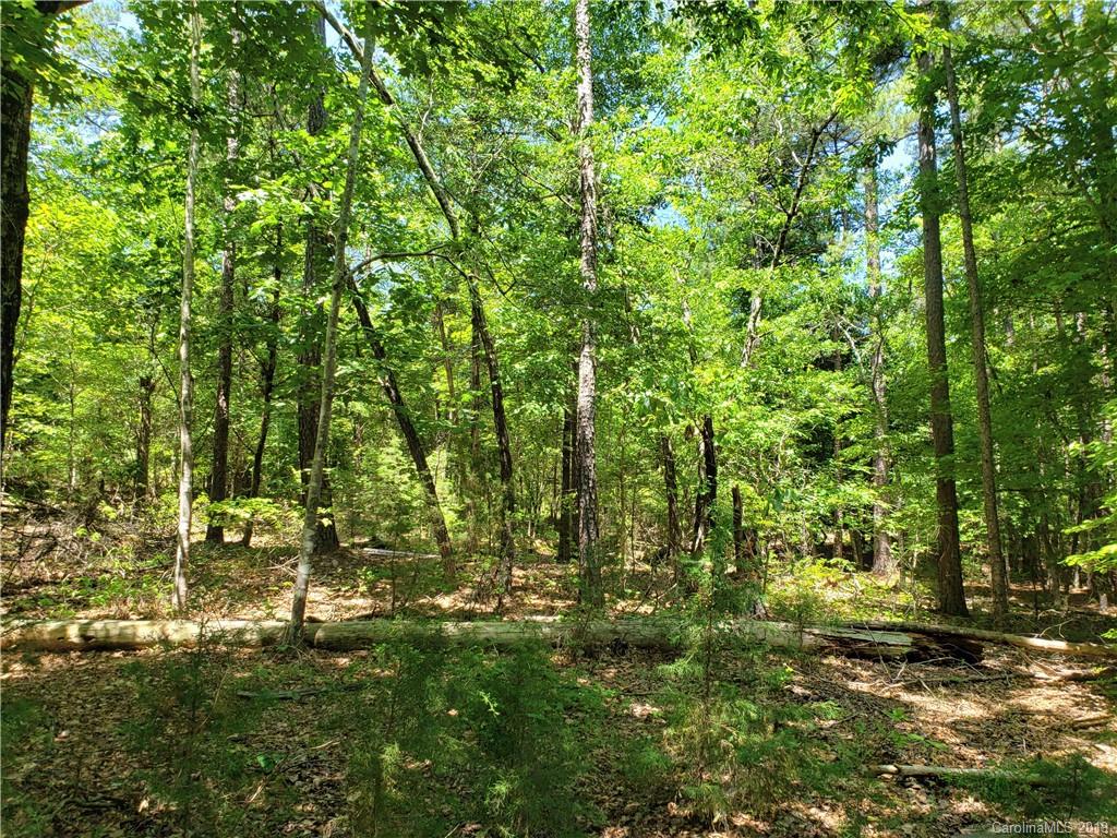 950 A Slick Rock Road Chester, SC 29706 - Photo 12 of 20