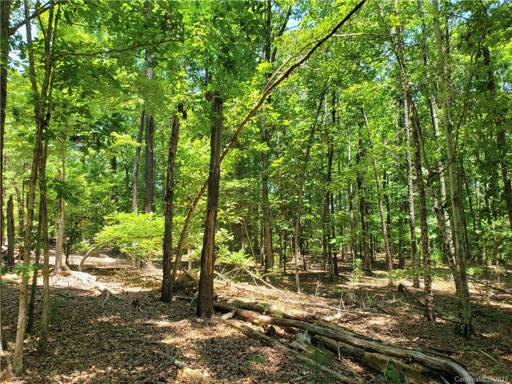 950 A Slick Rock Road Chester, SC 29706 - Photo 14 of 20