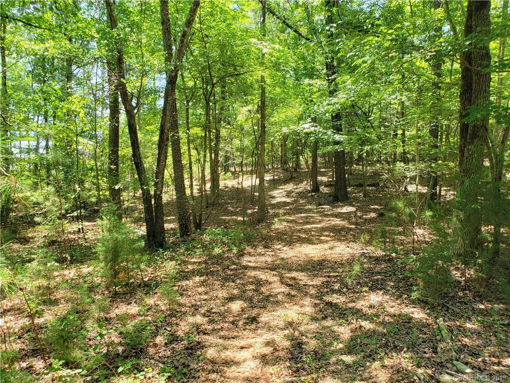 950 A Slick Rock Road Chester, SC 29706 - Photo 15 of 20