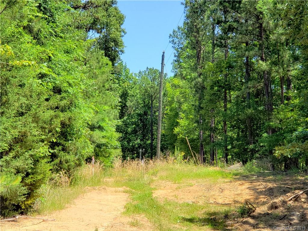 950 A Slick Rock Road Chester, SC 29706 - Photo 4 of 20