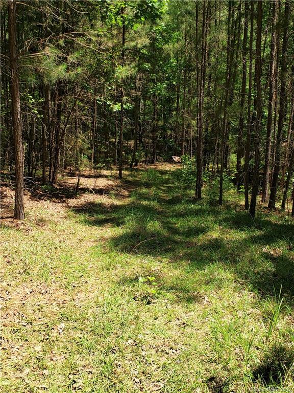 950 A Slick Rock Road Chester, SC 29706 - Photo 8 of 20