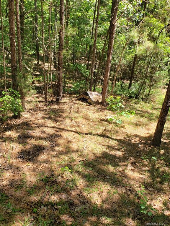 950 A Slick Rock Road Chester, SC 29706 - Photo 9 of 20