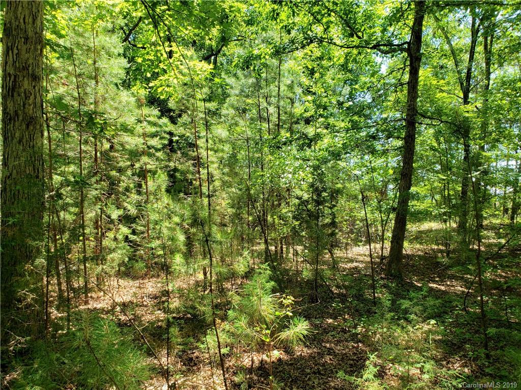 950 A Slick Rock Road Chester, SC 29706 - Photo 10 of 20