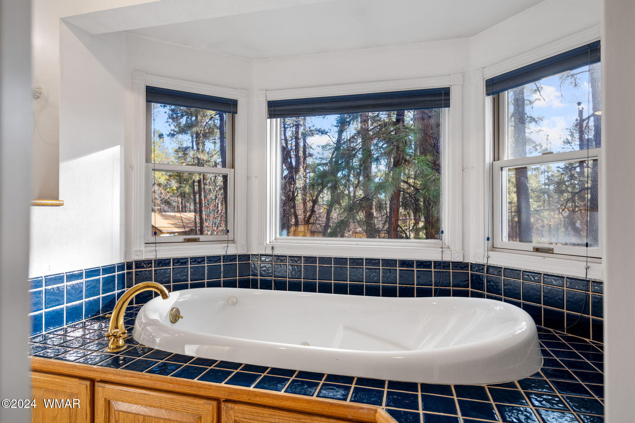 625 East Woodland Lake Road Pinetop, AZ 85935 - Photo 27 of 62 625EWoodlandLakeRd-PinetopLakeside-AZ-28