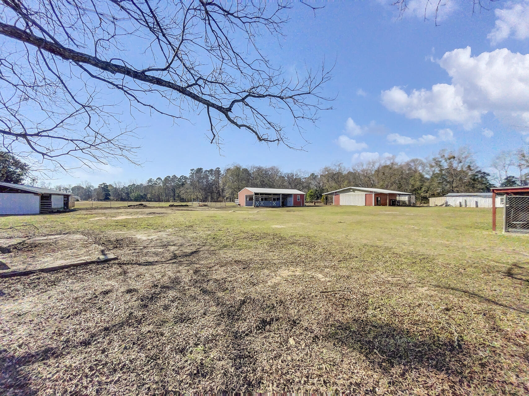1860 Five Chop Road Orangeburg, SC 29115 - Photo 65 of 101 (65)