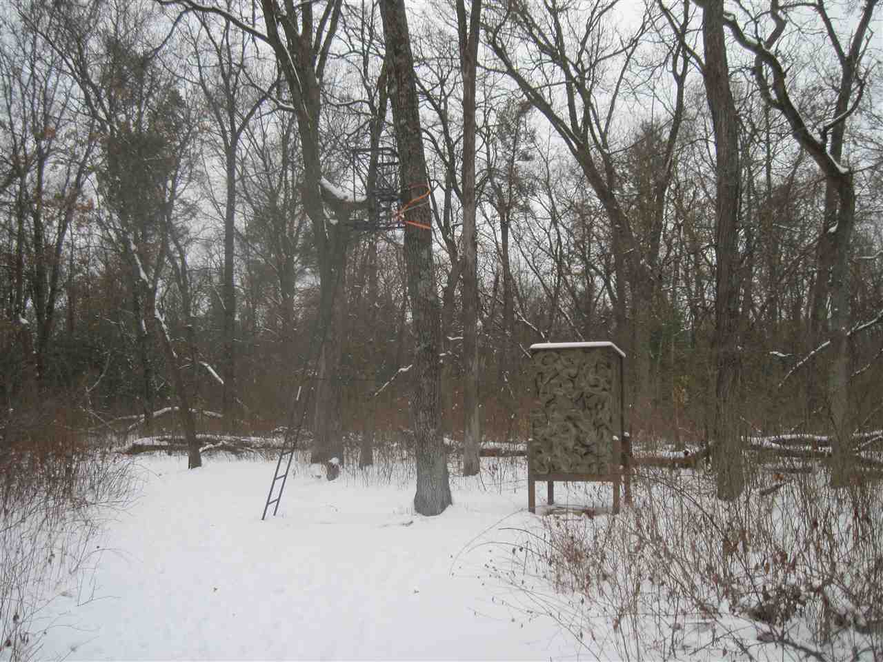 1197 South Cree Drive Friendship, WI 53934 - Photo 29 of 46