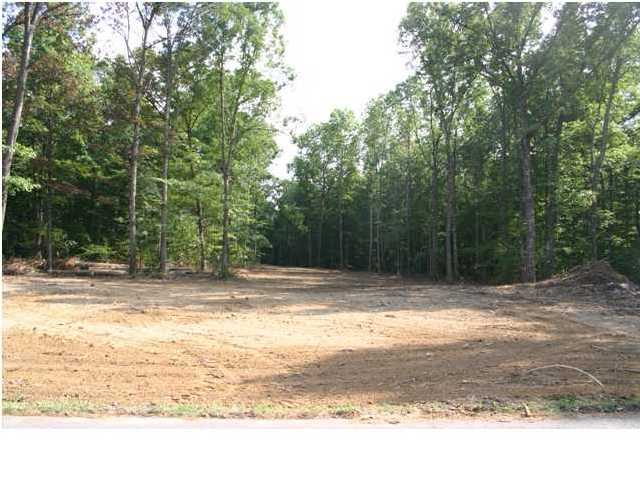 1 Sequatchie Mountain Road Sequatchie, TN 37374 - Photo 3 of 6 Additional Photo
