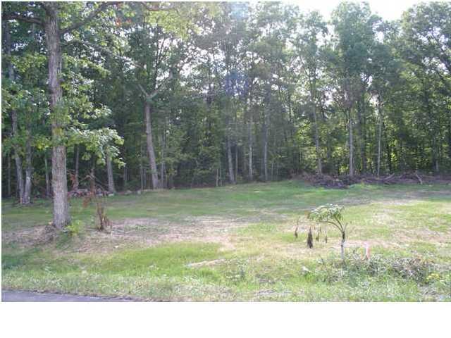 1 Sequatchie Mountain Road Sequatchie, TN 37374 - Photo 5 of 6 Additional Photo