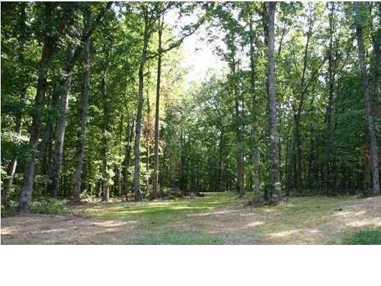 1 Sequatchie Mountain Road Sequatchie, TN 37374 - Photo 6 of 6 Additional Photo