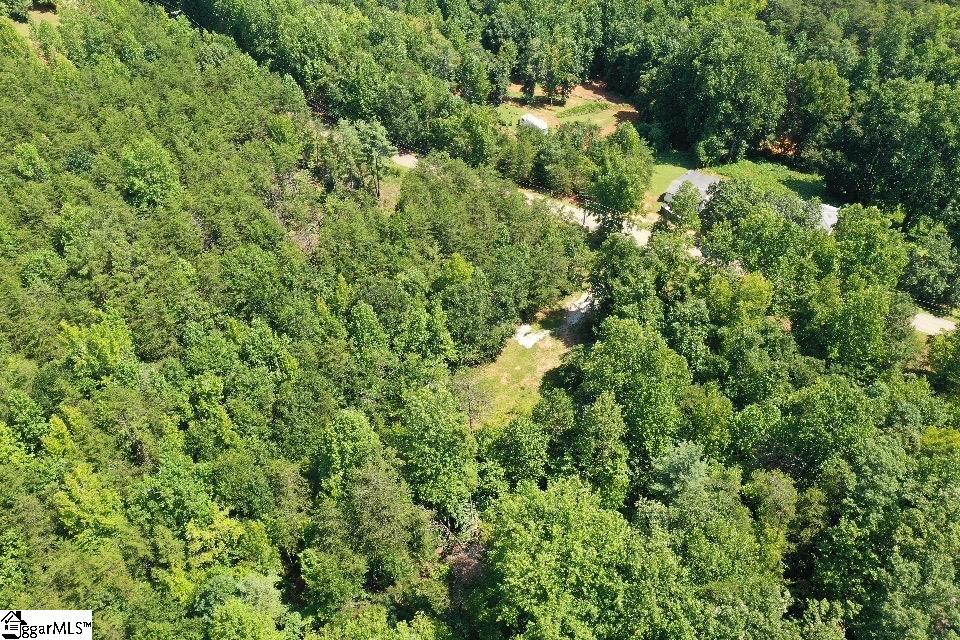 883 Goodwin Bridge Road Travelers Rest, SC 29690 - Photo 4 of 18 Gallery Image 4