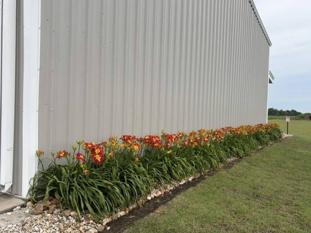 12030 County Line Road Wallis, TX 77485 - Photo 44 of 50 Gallery Image 44
