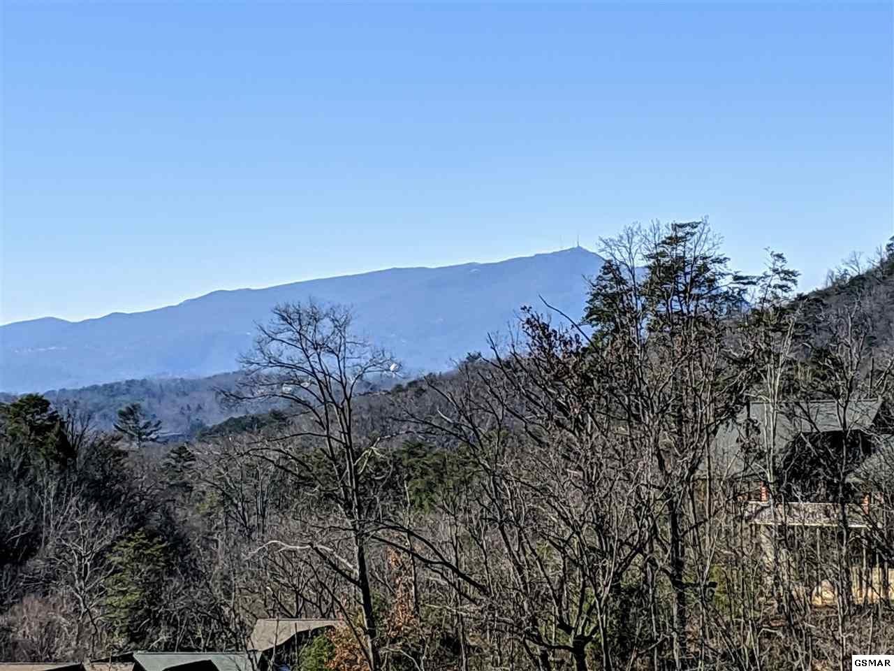 1620 Pinewood Way Sevierville, TN 37862 - Photo 1 of 29