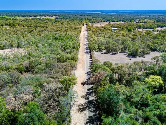 a view of a green field with lots of green bushes