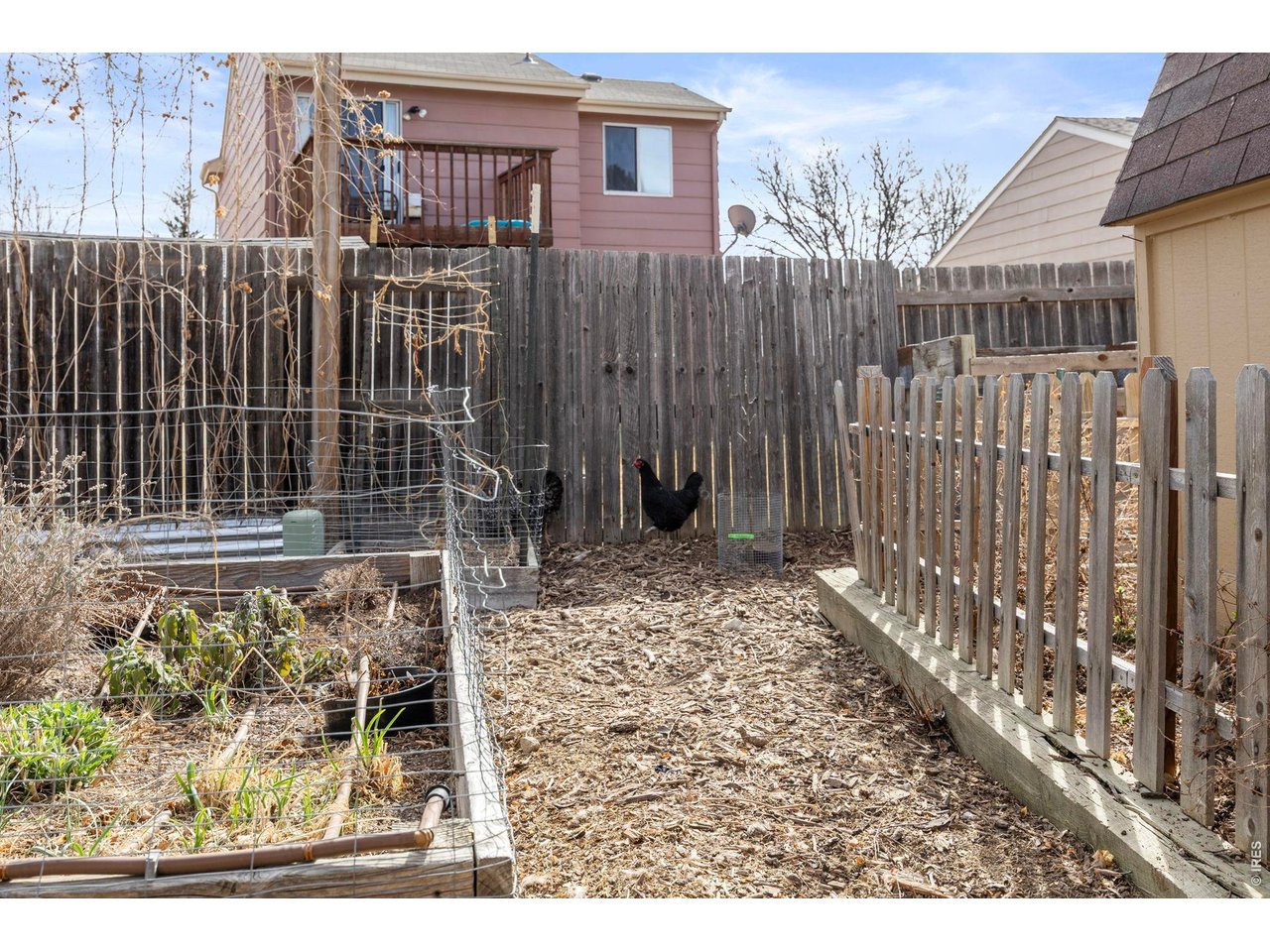 1816 Rice Street Longmont, CO 80501 - Photo 28 of 28