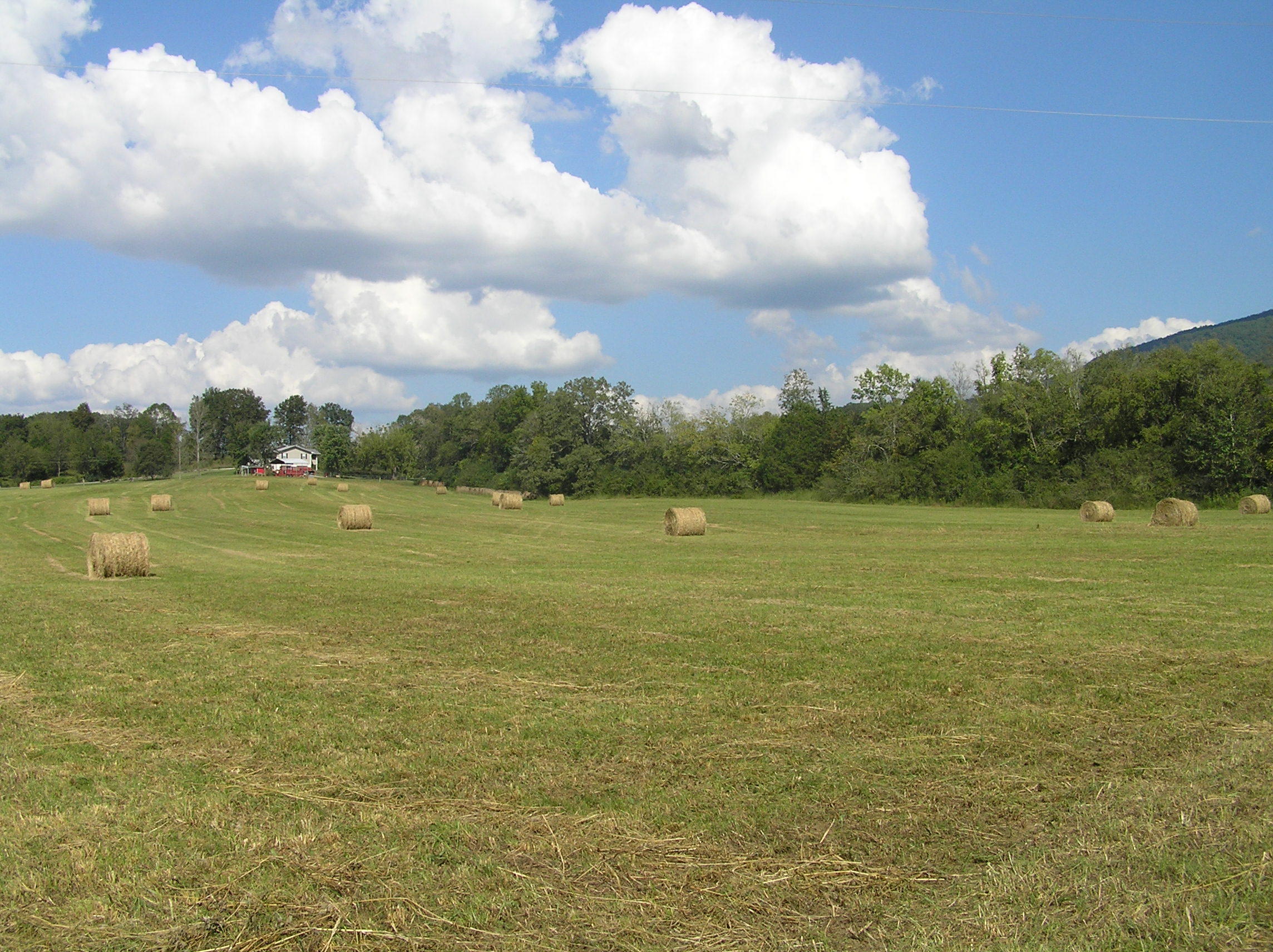 205 Lower East Valley Road Dunlap, TN 37327 - Photo 16 of 33 page 17 026