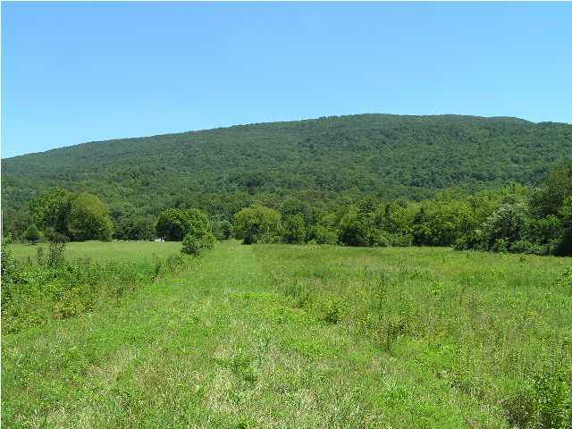 205 Lower East Valley Road Dunlap, TN 37327 - Photo 30 of 33 Additional Photo