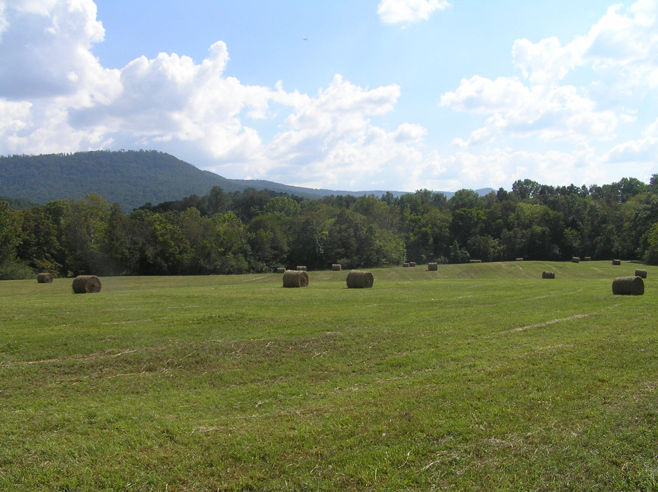 205 Lower East Valley Road Dunlap, TN 37327 - Photo 4 of 33 page 17 012