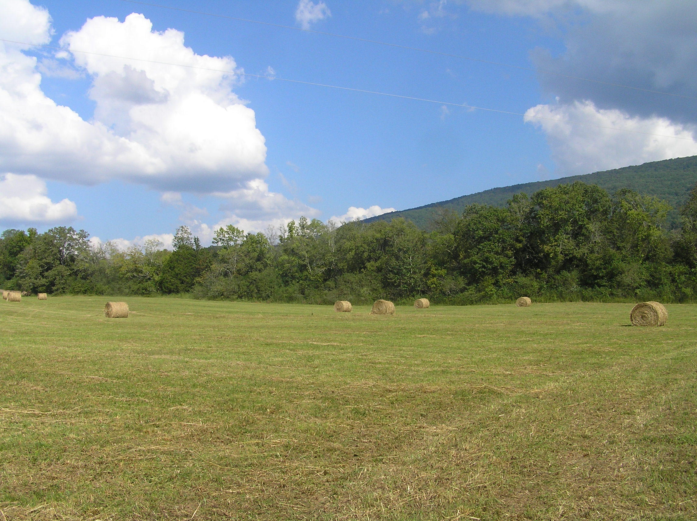 205 Lower East Valley Road Dunlap, TN 37327 - Photo 7 of 33 page 17 030