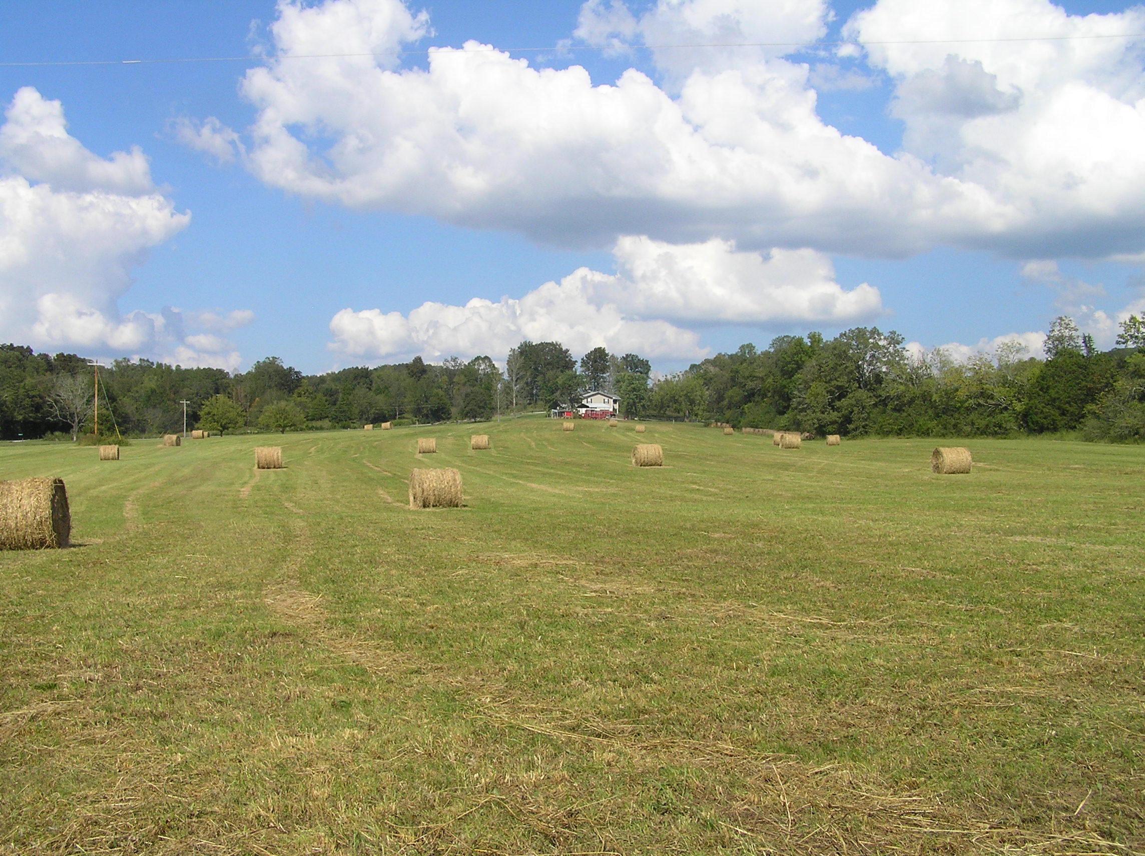 205 Lower East Valley Road Dunlap, TN 37327 - Photo 9 of 33 page 17 029