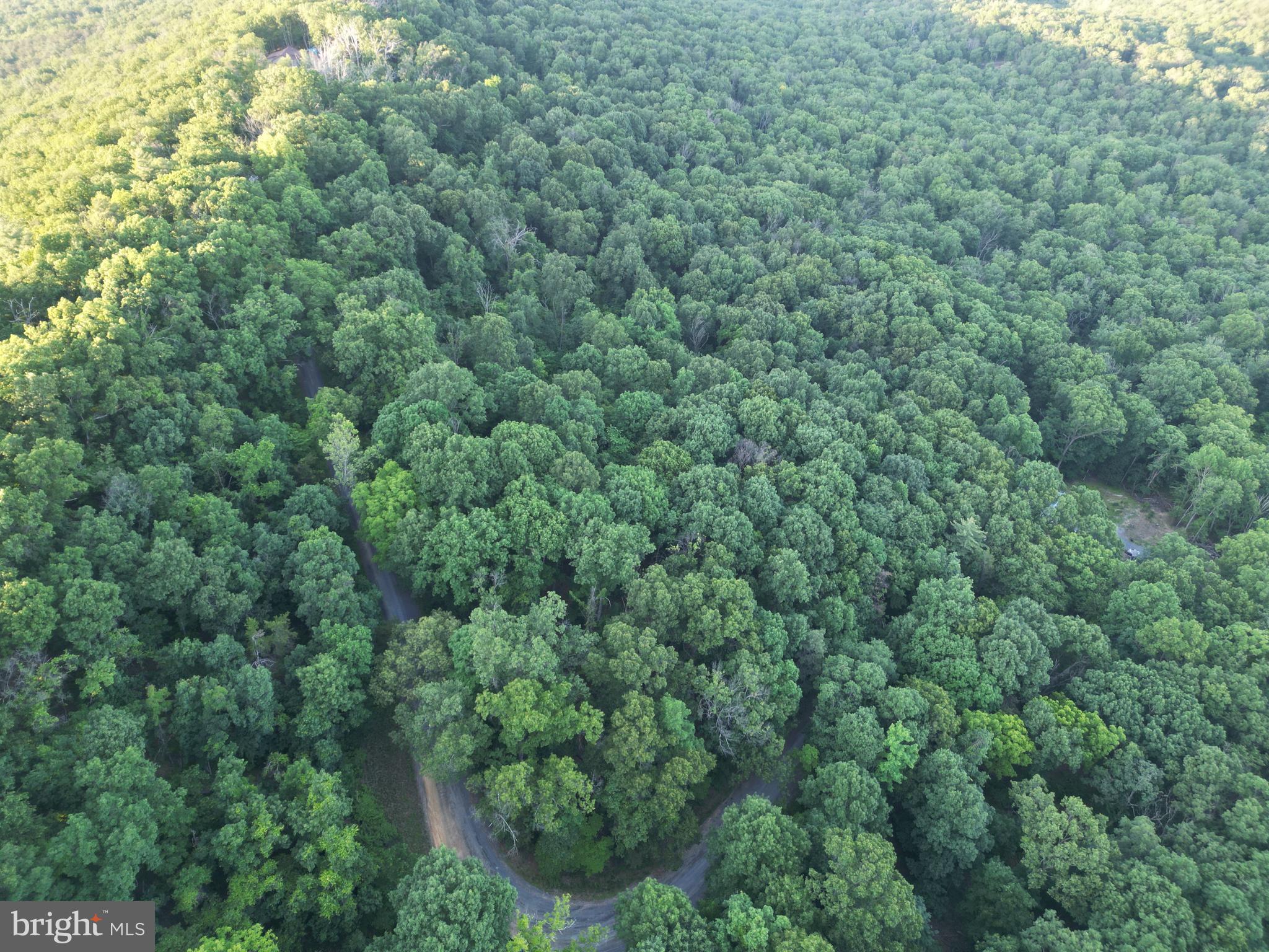 Tbd Rolly Road Mount Jackson, VA 22842 - Photo 2 of 20