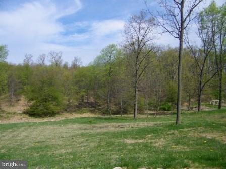 5173 Snyder Mill Road Spring Grove, PA 17362 - Photo 6 of 28